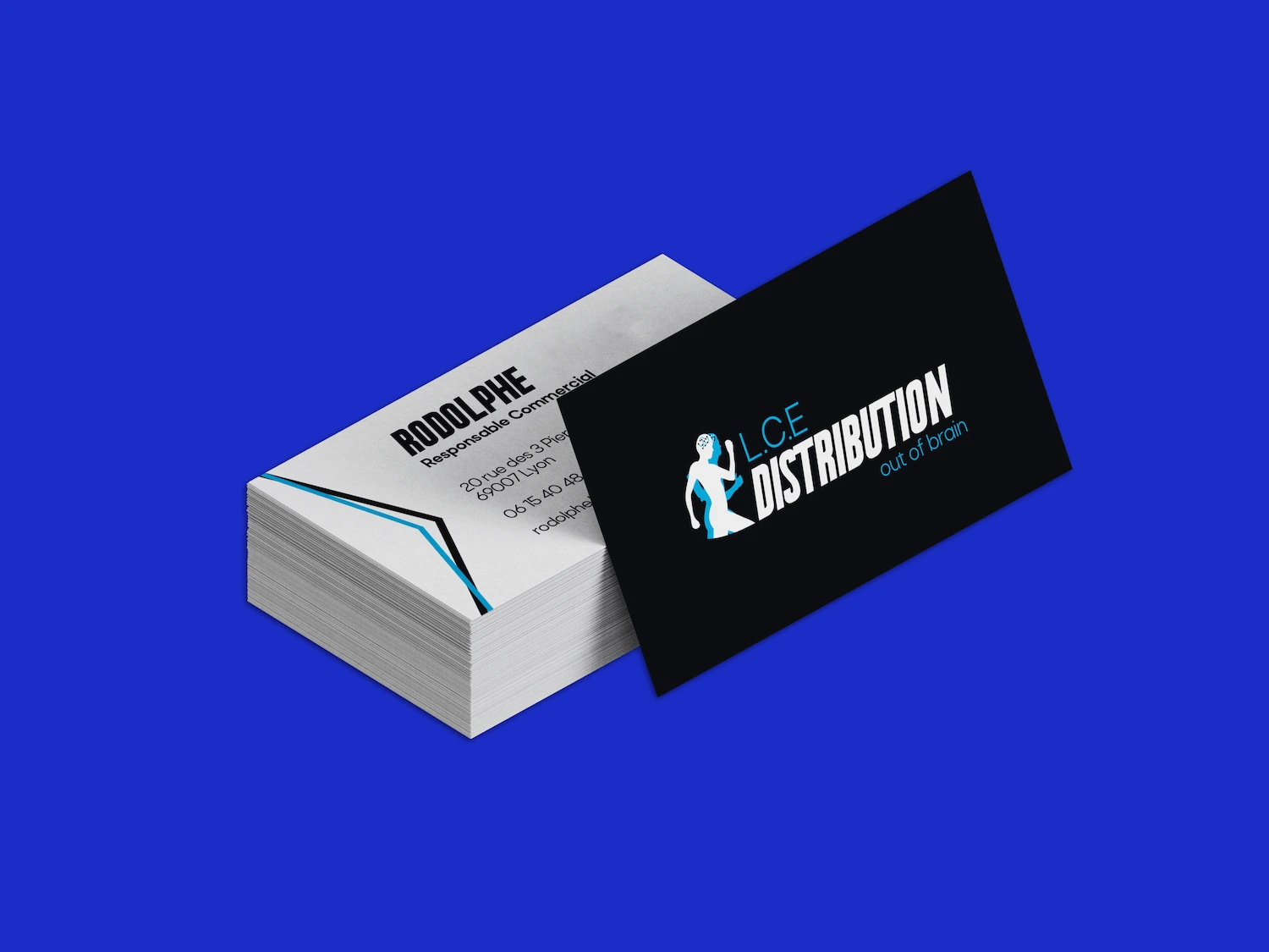 Projet LCE Distribution - com'on link communication